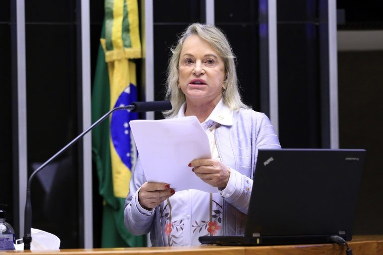 Magda Mofatto: projeto trata de assuntos da alçada do Poder Executivo - (Foto: Michel Jesus/Câmara dos Deputados)