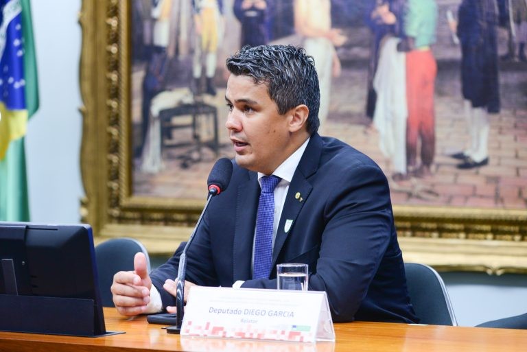 Diego Garcia: é preciso ampliar rede de proteção a crianças e adolescentes - (Foto: Billy Boss/Câmara dos Deputados)
