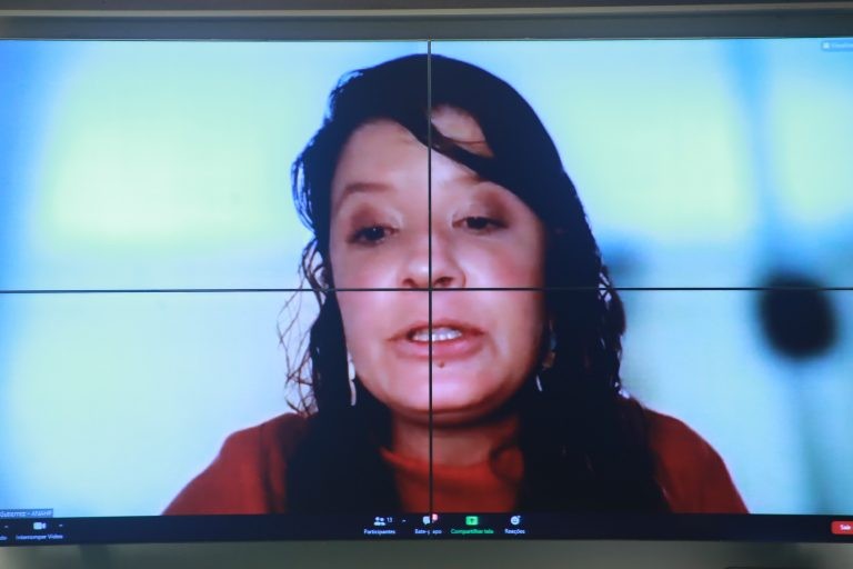 Para Tereza Gutierrez, proposta contraria a Constituição - (Foto: Paulo Sergio/Câmara dos Deputados)