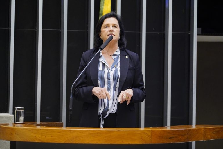 Angela Amin acredita que só a educação digital pode melhorar a segurança cibernética - (Foto: Pablo Valadares/Câmara dos Deputados)