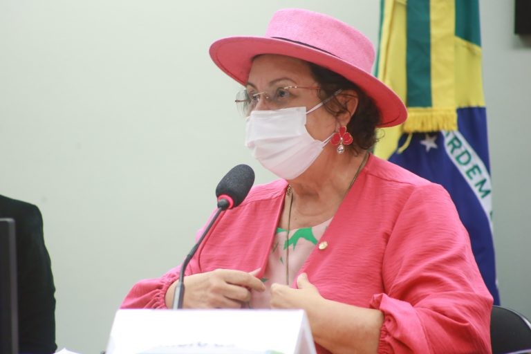 Tereza Nelma: perenidade às ações de apoio a estudantes de baixa renda com deficiência - (Foto: Paulo Sergio/Câmara dos Deputados)
