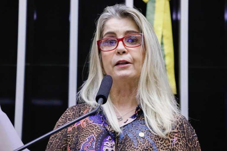Soraya Manato apresentou substitutivo ao texto - (Foto: Marina Ramos/Câmara dos Deputados)