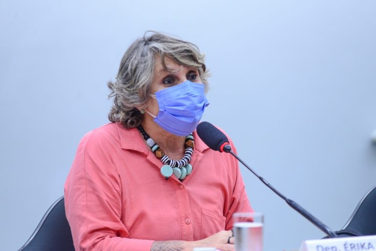 Erika Kokay reclamou da falta de recursos para o setor - (Foto: Billy Boss/Câmara dos Deputados)