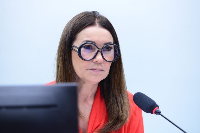 Margarete Coelho: objetivo é valorizar o trabalho do Legislativo na confecção das leis - (Foto: Billy Boss/Câmara dos Deputados)