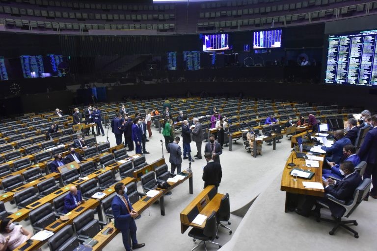 Sessão virtual do Plenário da Câmara - (Foto: Zeca Ribeiro/Câmara dos Deputados)
