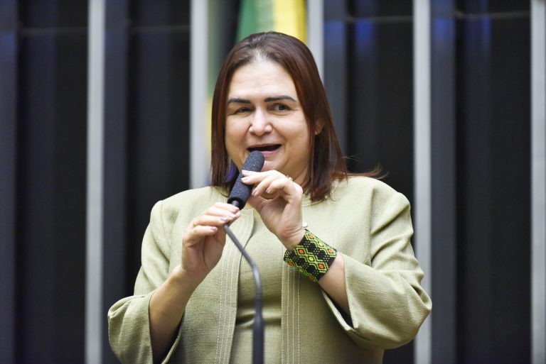 Professora Rosa Neide: violência contra mulher é grave problema social - (Foto: Zeca Ribeiro/Câmara dos Deputados)