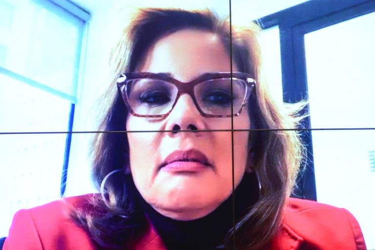 Gianna Sgazio: Brasil deveria estar, pelo menos, entre os 20 mais inovadores do mundo - (Foto: Billy Boss/Câmara dos Deputados)