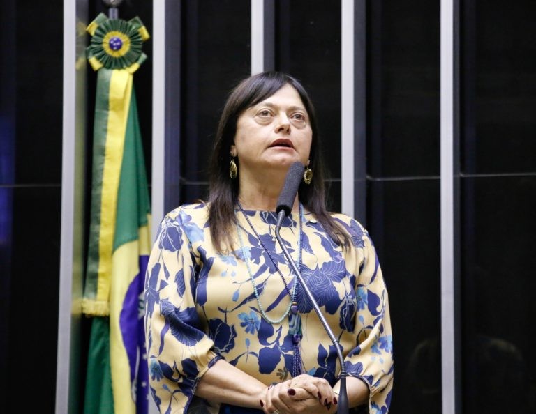 Alice Portugal agradeceu os esforços pela arrecadação de donativos aos atingidos - (Foto: Marina Ramos/Câmara dos Deputados)