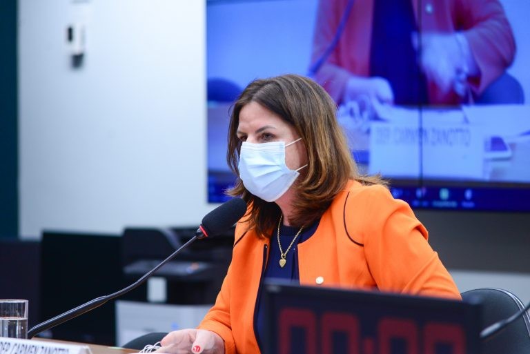 Carmen Zanotto espera que propostas sejam analisadas rapidamente - (Foto: Billy Boss/Câmara dos Deputados)