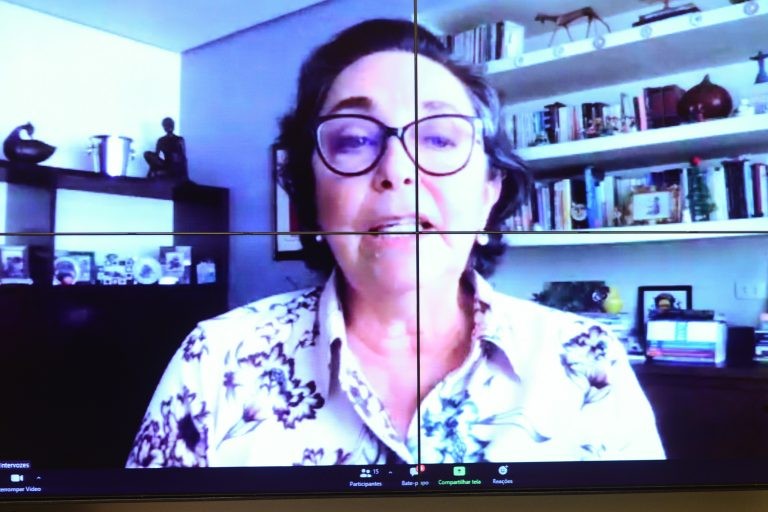 Flávia Lefèvre: falta transparência na elaboração das metas de conectividade escolar - (Foto: Billy Boss/Câmara dos Deputados)