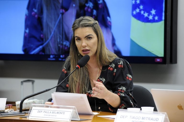 Paula Belmonte recomendou a aprovação da proposta - (Foto: Gustavo Sales/Câmara dos Deputados)
