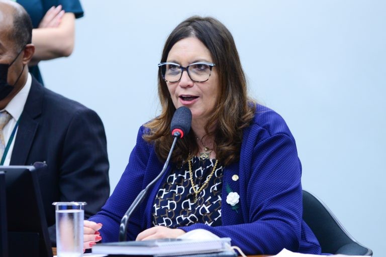 Deputada Bia Kicis, relatora do projeto de lei - (Foto: Billy Boss/Câmara dos Deputados)