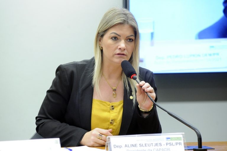 Aline Sleutjes recomendou a aprovação da proposta, com alterações - (Foto: Cleia Viana/Câmara dos Deputados)