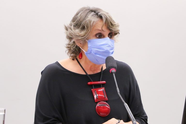 Para Erika Kokay, evolução da profissão exige atualização legal - (Foto: Wesley Amaral/Câmara dos Deputados)