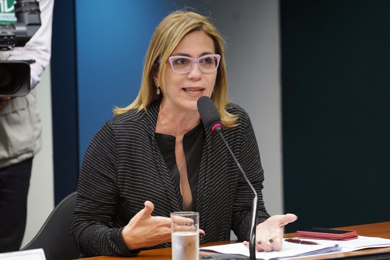 Rosana Valle: proposta é reivindicada pelo Movimento Nacional pela Valorização da Advocacia - (Foto: Pablo Valadares/Câmara dos Deputados)