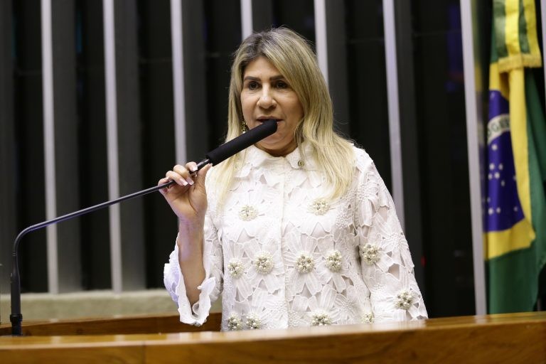 Edna Henrique: proposta garante atendimento humanizado a essas crianças - (Foto: Michel Jesus/ Câmara dos Deputados)