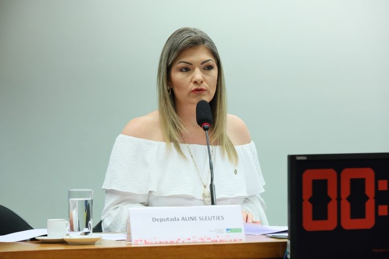 Aline Sleutjes: crime afeta órgãos públicos, empresas privadas, residências e espaços comunitários - (Foto: Cleia Viana/Câmara dos Deputados)