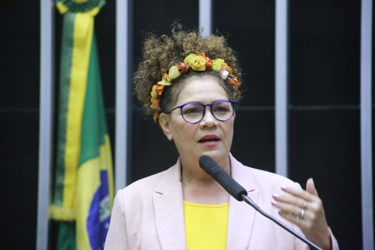 Perpétua Almeida elenca também a necessidade de anistiar dívidas do Fies - (Foto: Paulo Sergio/Câmara dos Deputados)