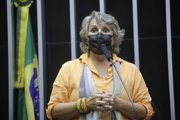 Erika Kokay: projeto anula exigências e compromete saúde da população - (Foto: Paulo Sergio/Câmara dos Deputados)
