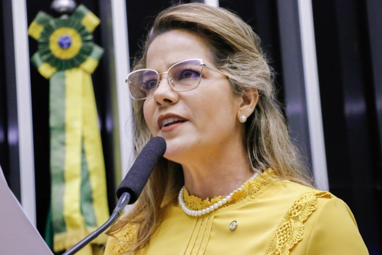 Professora Dayane: publicidade governamental como condição para acesso à internet representa doutrinação - (Foto: Cleia Viana/Câmara dos Deputados)