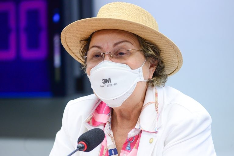 Tereza Nelma: bancos documento antigos dificultam identificação do idoso - (Foto: Billy Boss/Câmara dos Deputados)