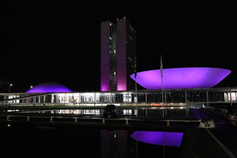 A homenagem repete-se anualmente: prédio do Congresso iluminado no ano passado - (Foto: Michel Jesus/Câmara dos Deputados)