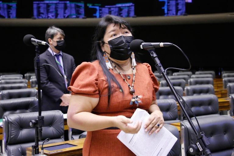 Joenia quer coibir a oferta irregular ou exclusão escolar de crianças indígenas - (Foto: Marina Ramos/Câmara dos Deputados)
