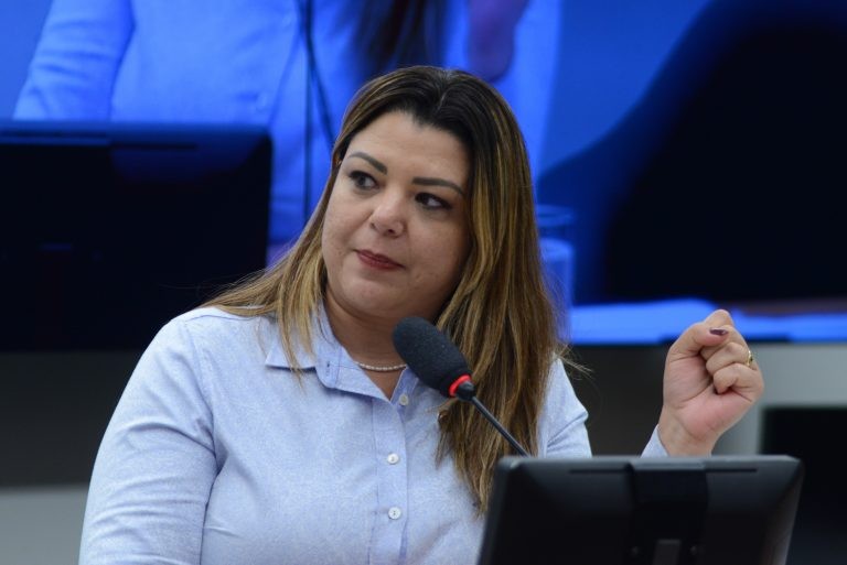 Mariana Neris sugeriu especificar melhor o conceito de vítima - (Foto: Billy Boss/Câmara dos Deputados)