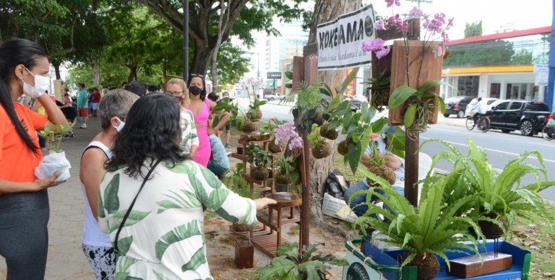 Foto: Valdenir Lima