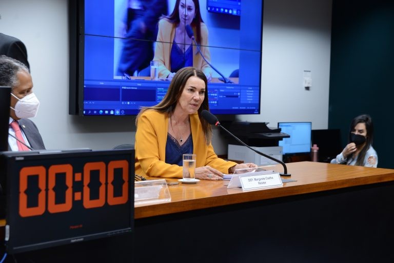 Margarete Coelho afirmou que pandemia de Covid dificultou atuação dos partidos em 2020 - (Foto: Billy Boss/Câmara dos Deputados)