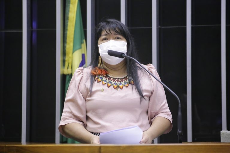Joenia Wapichana, primeira mulher indígena eleita deputada federal - (Foto: Paulo Sérgio/Câmara dos Deputados)