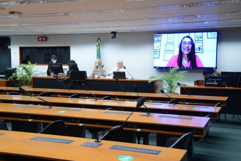 Deputada Margarete Coelho no telão durante debates promovidos na manhã de segunda - (Foto: Billy Boss/Câmara dos Deputados)