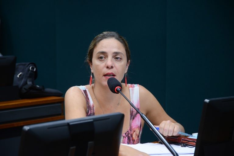 Fernanda Melchionna defende reajuste atrelado à inflação do período - (Foto: Billy Boss/Câmara dos Deputados)