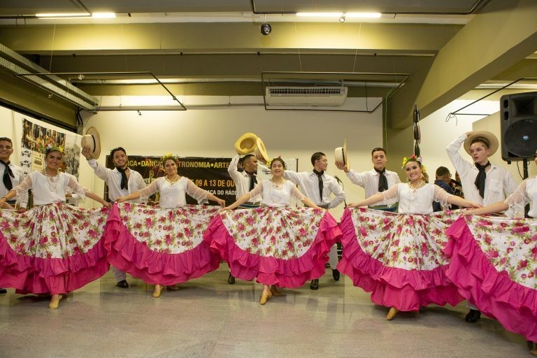 Autor do projeto que originou a lei disse que o título é uma homenagem aos admiradores do estilo - (Foto: Ricardo Gomes/Governo do MS)