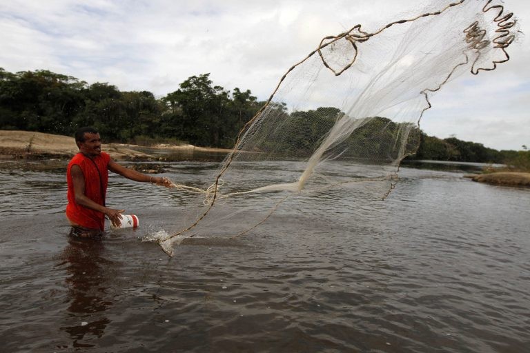 Para autores, impacto econômico da proibição será mínimo - (Foto: Cristiano Martins/Agência Pará)