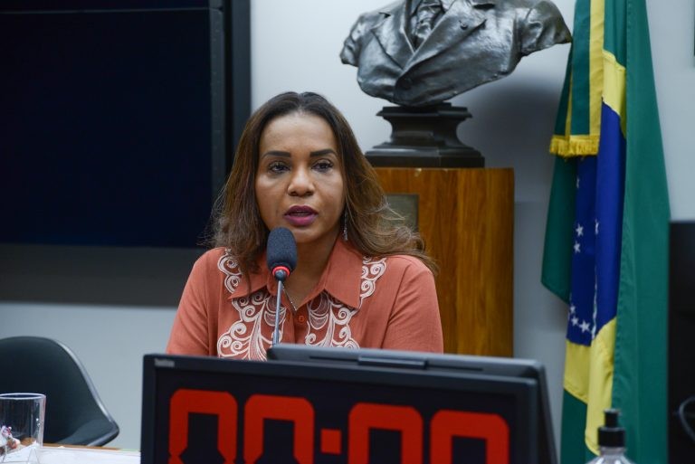 Tia Eron tentou discutir o texto hoje, mas reunião foi encerrada com o início da Ordem do Dia do Plenário - (Foto: Billy Boss/Câmara dos Deputados)