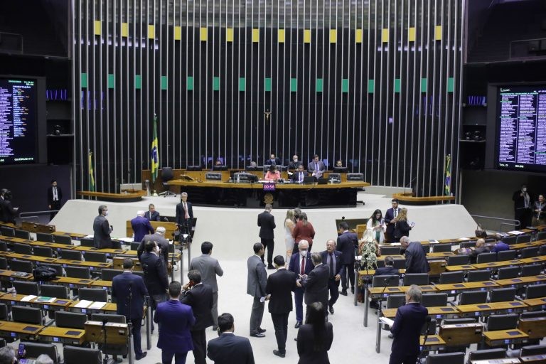 Margarete Coelho relatou a proposta - (Foto: Zeca Ribeiro/Câmara dos Deputados)