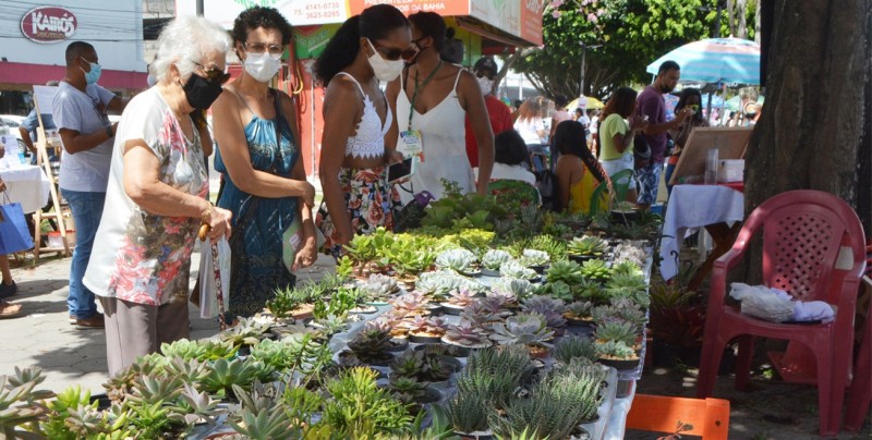 Foto: Valdenir Lima