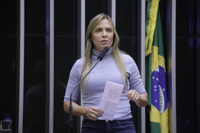 Celina Leão afirma que preços causam dificuldades para os motoristas de aplicativos - (Foto: Paulo Sergio/Câmara dos Deputados)