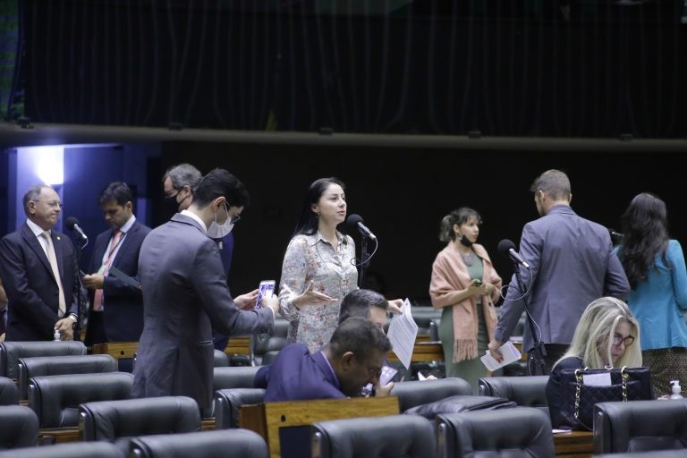 Sessão Deliberativa do Plenário da Câmara - (Foto: Paulo Sérgio/Câmara dos Deputados)