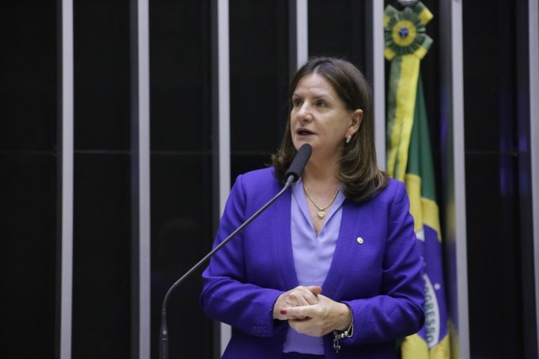 Carmen Zanotto coordenou o grupo de trabalho sobre o assunto na Câmara - (Foto: Paulo Sergio/Câmara dos Deputados)