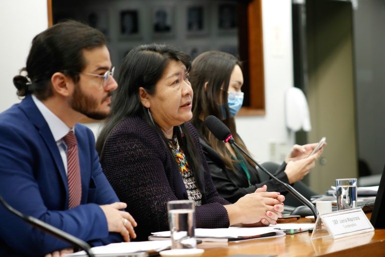 Deputados Túlio Gadelha e Joenia Wapichana, em reunião na comissão externa - (Foto: Elaine Menke/Câmara do Deputados)