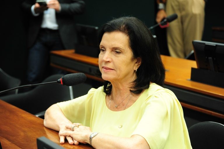 Deputada Angela Amim, relatora do projeto de lei - (Foto: Billy Boss/Câmara dos Deputados)