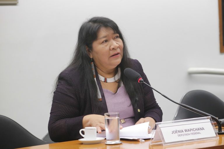 Deputada Joênia Wapichana: 