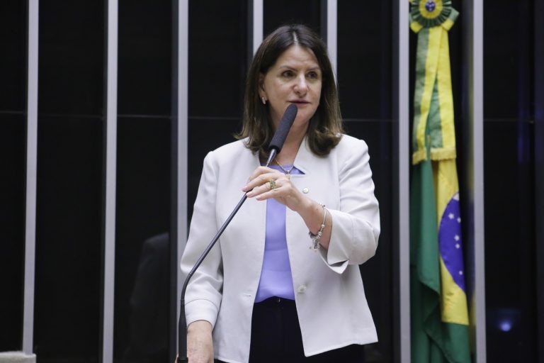 Zanotto: setor é excessivamente tributado, apesar de ser um direito fundamental - (Foto: Paulo Sérgio/Câmara dos Deputados)