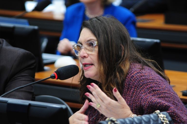 Bia Kicis: nova reforma vem para romper com o que está aí - (Foto: Billy Boss/Câmara dos Deputados)