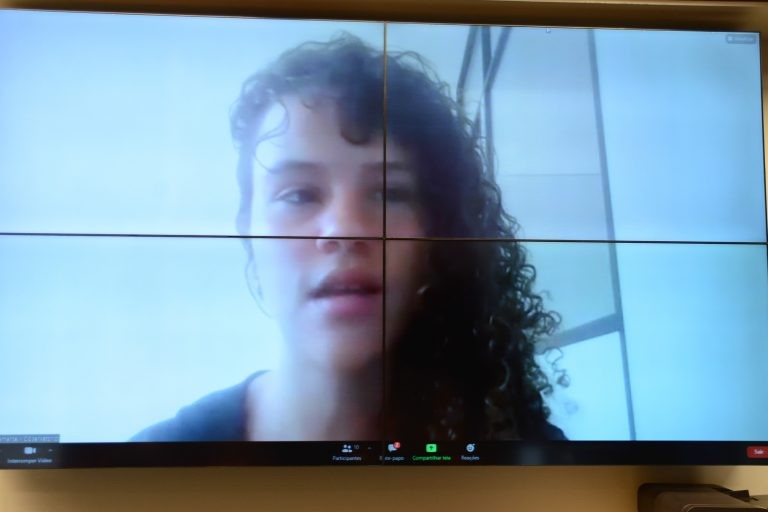 Júlia Bustamante: recursos representam 38% do que era investido em 2014 - (Foto: Wesley Amaral/Câmara dos Deputados)