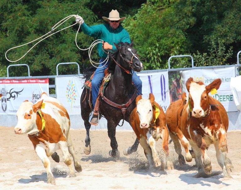 Audiência vai debater a presença de animais em competições esportivas - (Foto: Gustavo Vara/Prefeitura de Pelotas-RS)