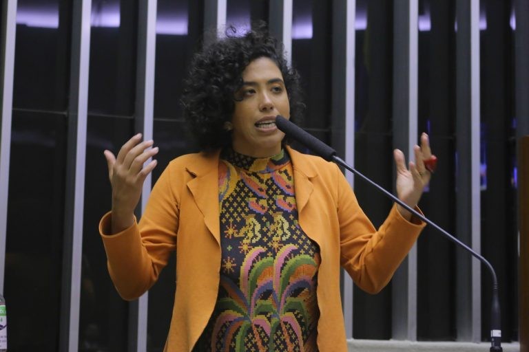 Talíria Petrone é autora do requerimento - (Foto: Paulo Sérgio/Câmara dos Deputados)