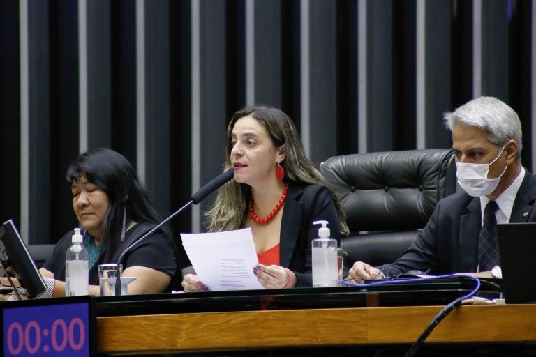 Joenia Wapichana, Fernanda Melchionna e Alessandro Molon durante a sessão solene no plenário - (Foto: Elaine Menke/Câmara dos Deputados)